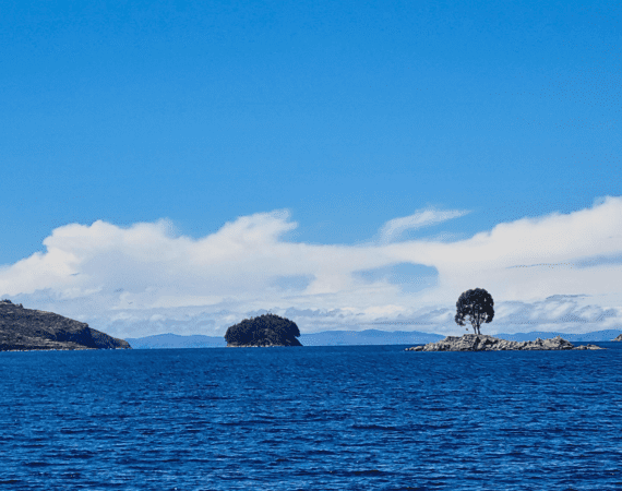 4 ilhas no lago titicaca, da direita para esquerda, uma ilha comum, depois uma ilha com somente uma arvore nela e depois uma ilha com várioas arvores e por último um pedaço da ilha do sol